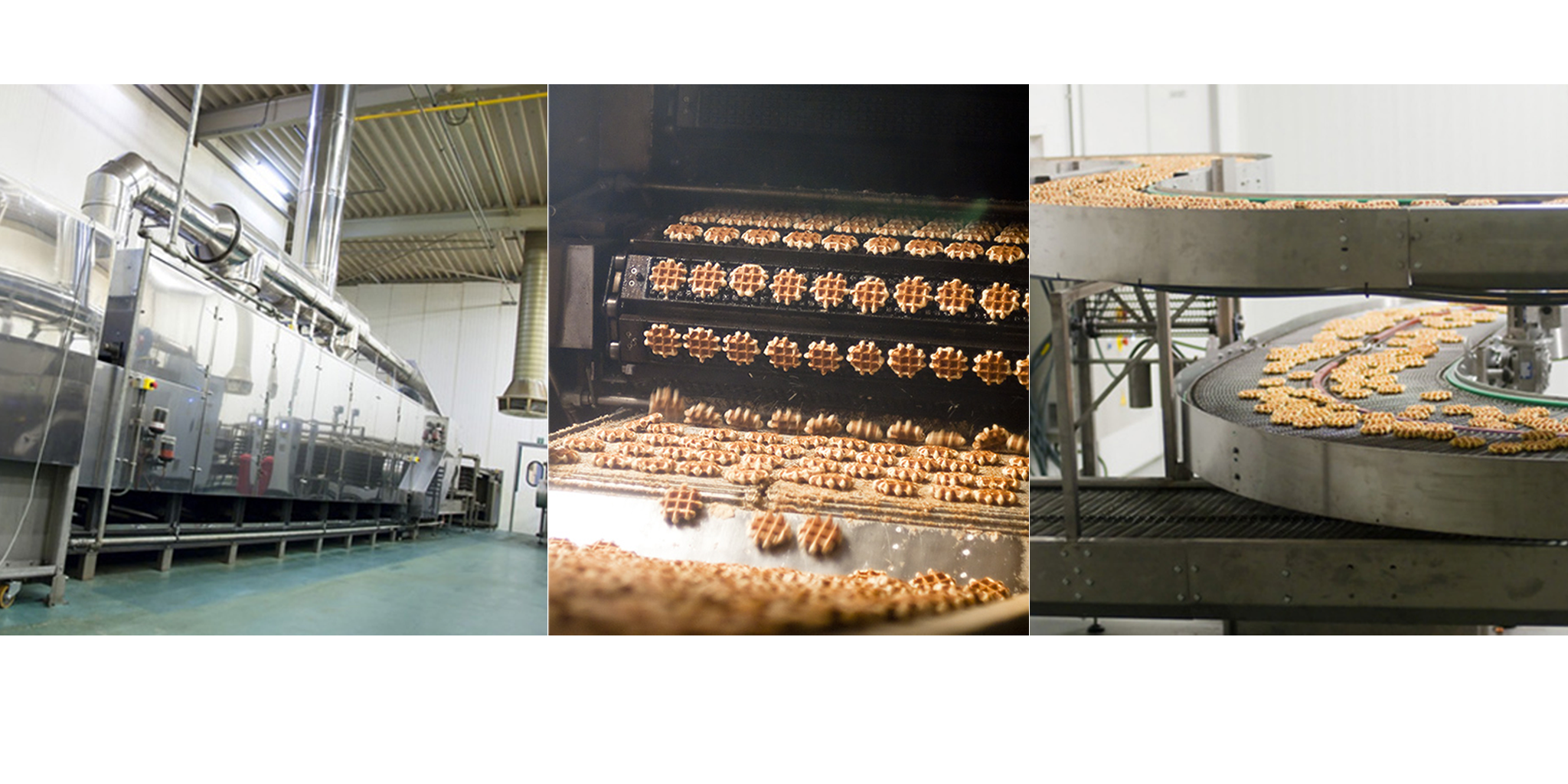 Vanilla Waffles Production Line